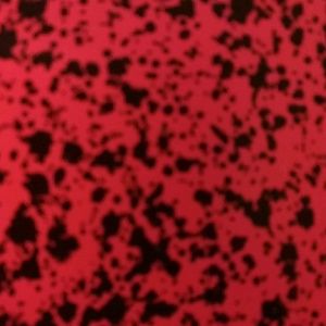 Meet your Posher, Corressia